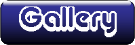 Gallery button